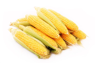 Corn isolated on white