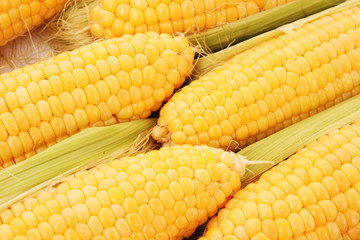 Yellow corns