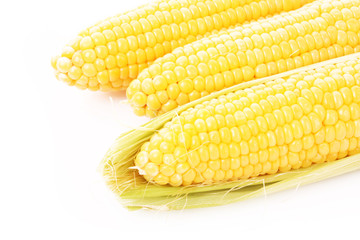 Corn isolated on white