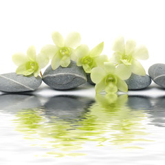 Reflection of white orchid with zen stones