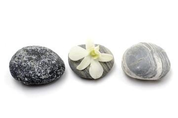 Row of zen stone with orchid