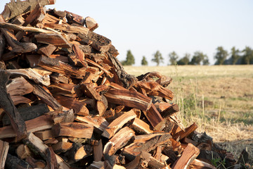 Pile of wood