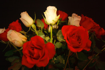 White rose in a funeral bouquet