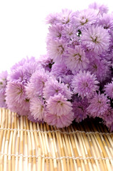 Pink chrysanthemums on bamboo mat