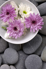 Fototapeta na wymiar Bowl of chrysanthemums and aromatherapy stones