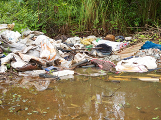 Mistplatz in der Natur