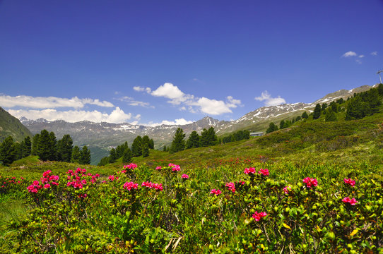 Stubaier Alpen - &Ouml;tztal - &Ouml;sterreich