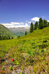 Fototapeta premium Stubaier Alpen - Ötztal - Österreich