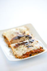 tasty plate of vegetal lasagna