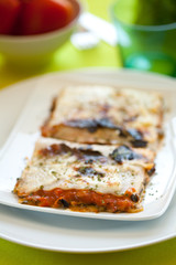 tasty plate of vegetal lasagna