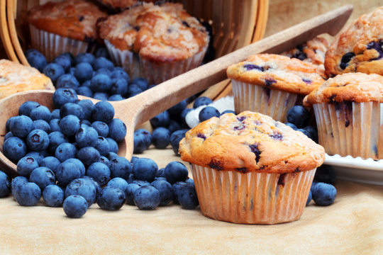 Fresh Blueberry Muffin with raw blueberries spilling from a wooden spoon in the background. Selective focus with blurred background.