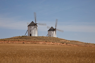 Fototapeta premium Molinos de viento