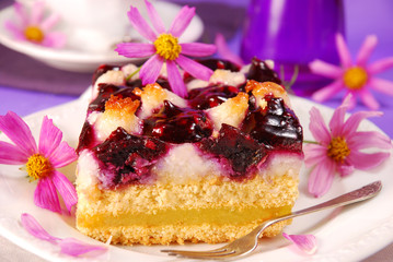 blueberry and coconuts cake