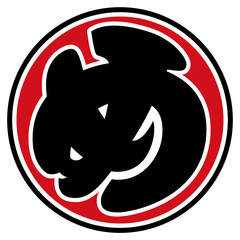 め組 シンボルマーク 火消し