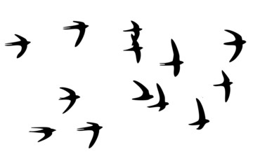 Obraz na płótnie Canvas vogelschwarm wandtattoo