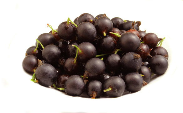 gooseberry and black currant on the white background,yoshta