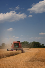 Obraz premium Landwirtschaft