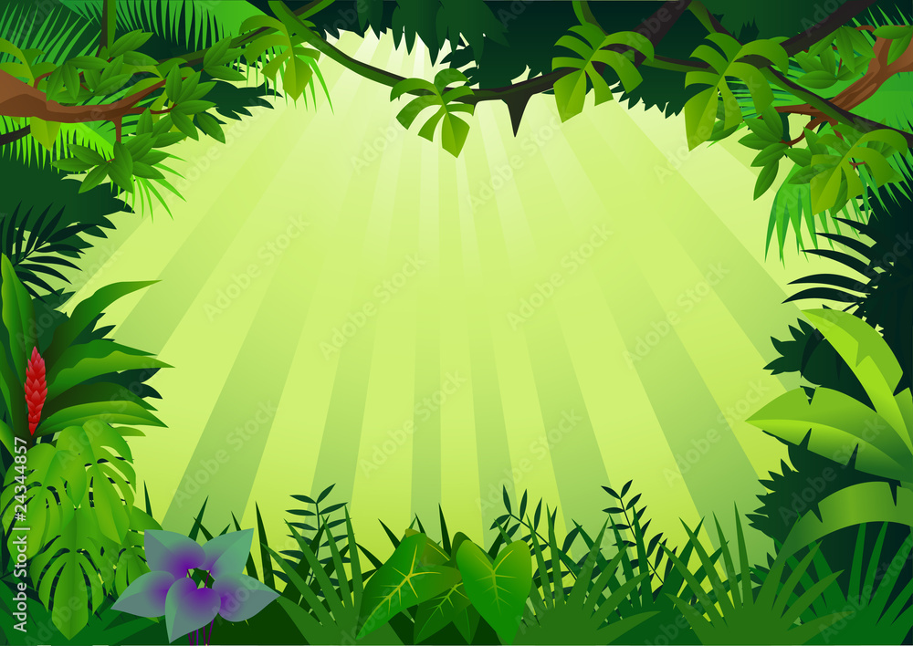 Wall mural Forest background