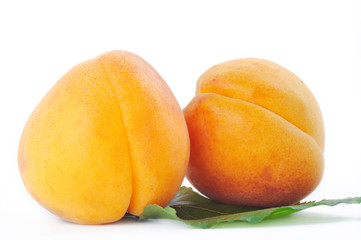 apricots on a white background