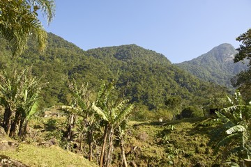 Hügellandschaft in Südbrasilien
