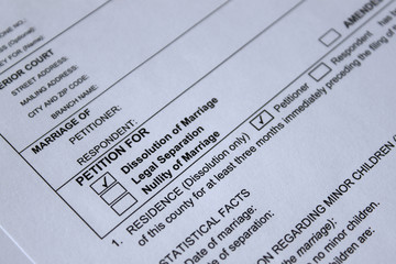 court legal form for divorce