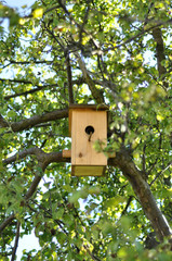 birdhouse