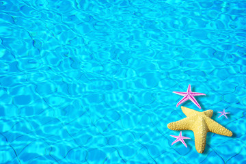 Fototapeta na wymiar Water background with starfish