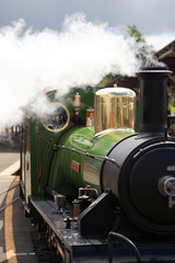 Narrow gauge steam train