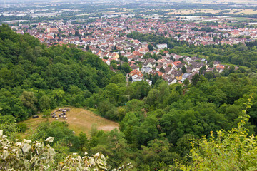 Blick von der Schauenburg