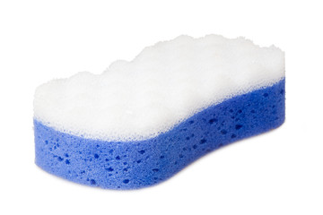 sponge