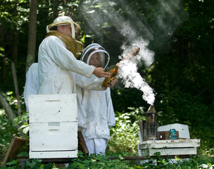 BeeKeeper