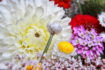 Beautiful bouquet of fresh and colorful flowers 4