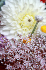 Fototapeta na wymiar Beautiful bouquet of fresh and colorful flowers 3