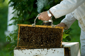 BeeKeeper