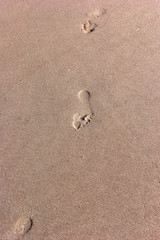 footprints on the beach