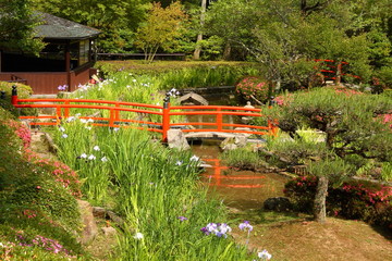 Un des nombreux jardins japonais (Kyoto)
