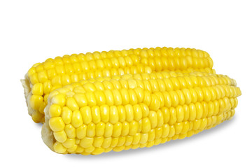 cooked corn