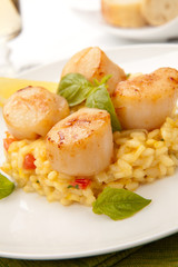 Scallops Risotto
