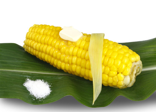 cooked corn