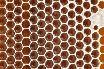honeycomb background