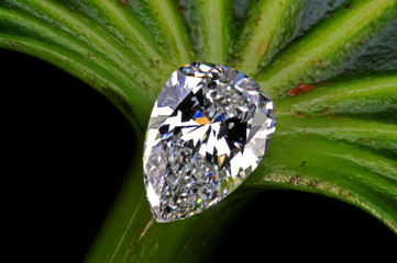 echter Diamant Träne