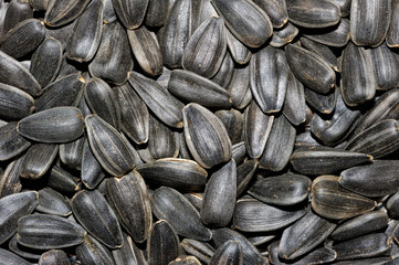 Sunflower seeds