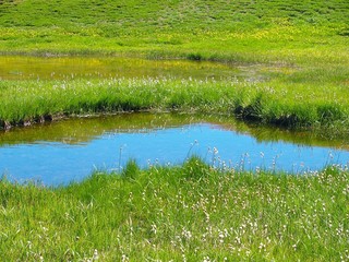 Lac dans le Queyras