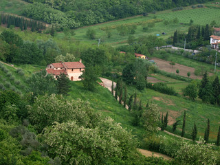 Villa in Tuscany amongst  olive groves