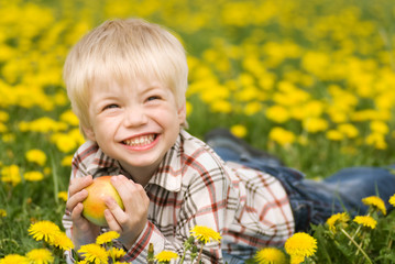 The laughing boy with an apple lies in the field from dandelions