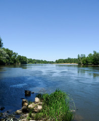 Bords de l'Allier