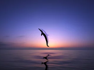 Fototapete Rund Delfin © bigfoot