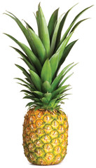 Fototapeta premium whole pineapple on a white background