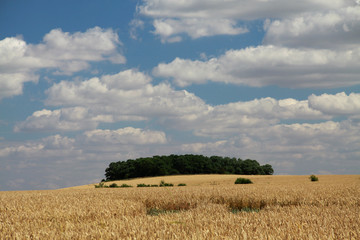 Bullenstedter Brocken