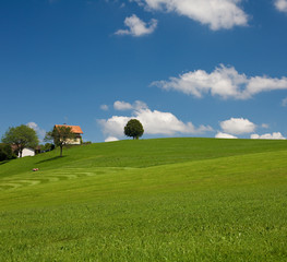 Obraz premium landscape with green grass, tree, house and perfect sky